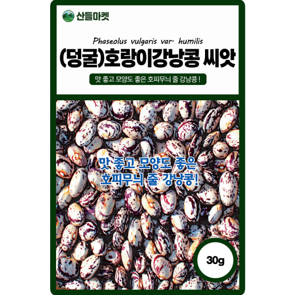 [오늘출발] 산들마켓 호랑이 강낭콩씨앗 30g 덩굴성으로 초세가 강한 호피무늬 국내산 콩씨 종자