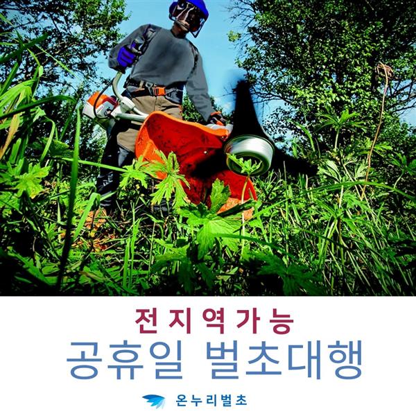 장호원 마당풀제거 묘지잡초관리 잡초깎기 휴일벌초 아파트화단제초 빌라화단제초 군부대예초