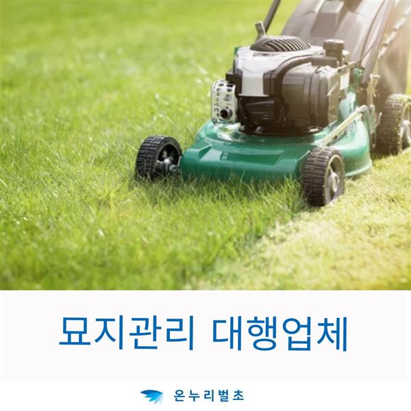 장호원 주택제초 묘잔디제거 임야예초제초 묘잡초제거 아파트화단예초 회사화단예초 예초제초 임야제초