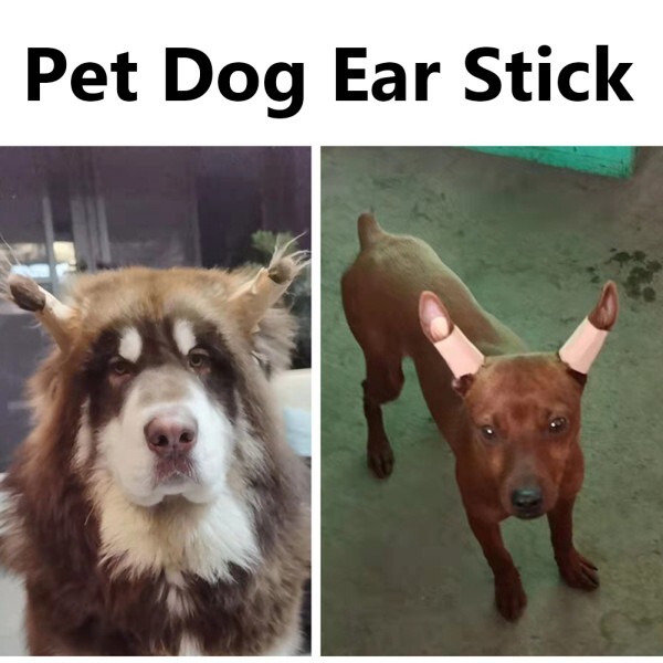 [오늘출발] 실용적인 교정 개 귀 스티커 우유 칼슘 허브 지지대 아크 접착제 무료 케어 도구 액세서리