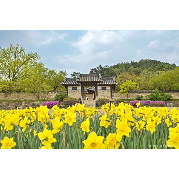 |당일||예산|오감만족 예산여행/아그로랜드+수덕사+예당호출렁다리+예산시장+추사김정희고택