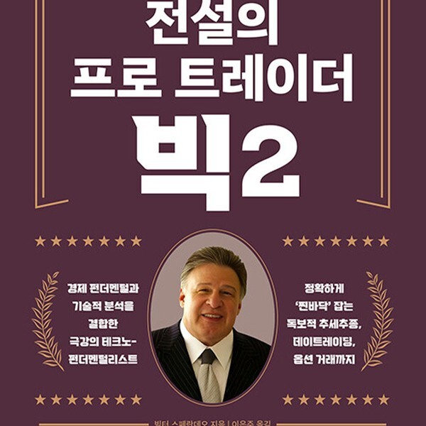 [출판사 액티브]액티브(도서) 액티브 전설의 프로 트레이더 빅 2 개정판)