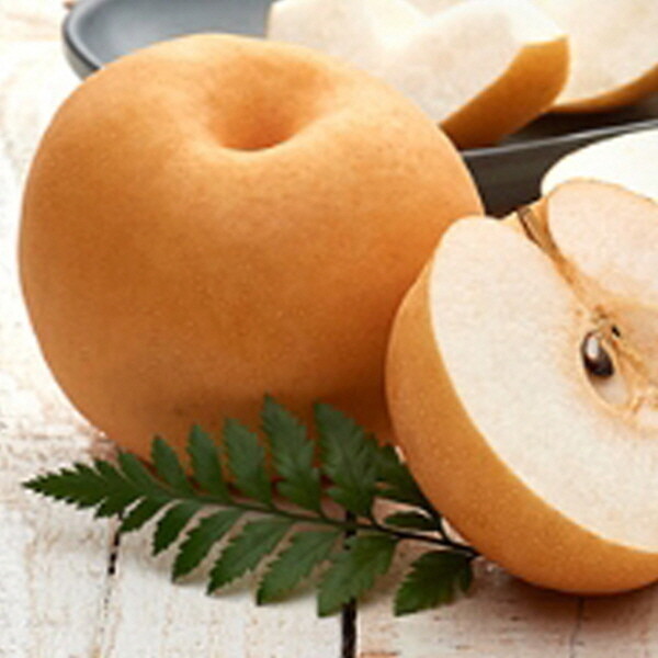 대용랴업소용못난이신고배15kg크기램덤 업소용대용량신고배무료배송