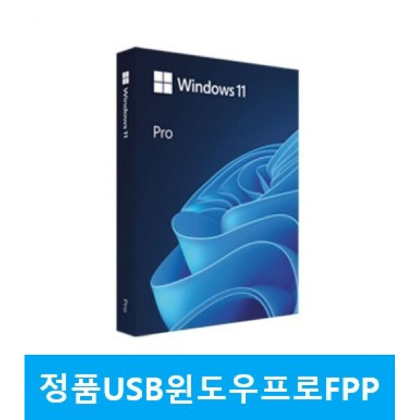 [오늘출발] 마이크로소프트 MS 윈도우11 프로 Windows Pro FPP 한글 처음사용자용 USB설치