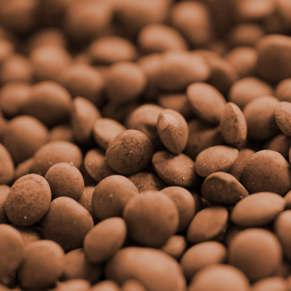 수입산 렌틸콩 10kg (5kg+5kg) 렌즈콩 캐나다산 25년산