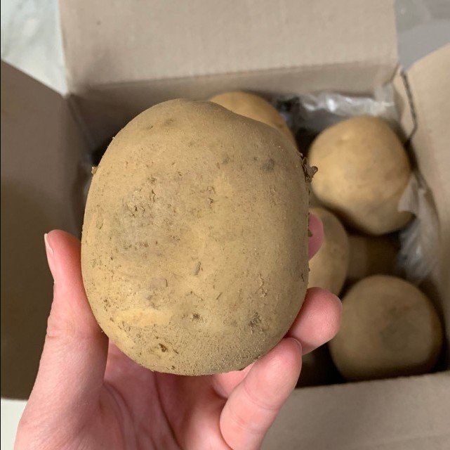 두백 감자 인디언 러셋 홍감자 수미 강원도 (특/3kg)