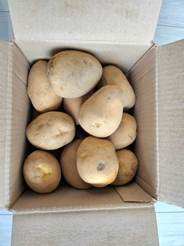 두백 감자 인디언 러셋 홍감자 수미 강원도 (대/3kg)