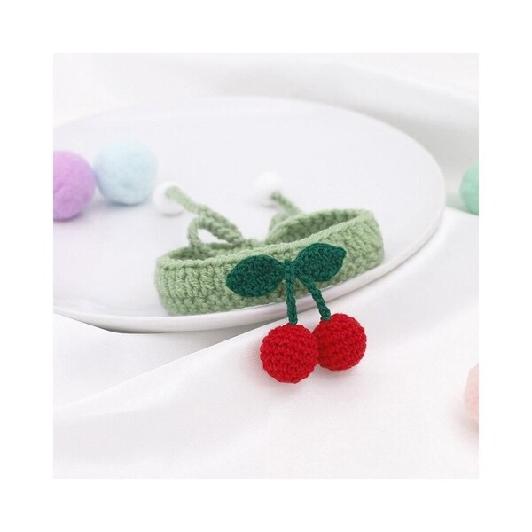 강아지 체리 케이프 (W9B7949)