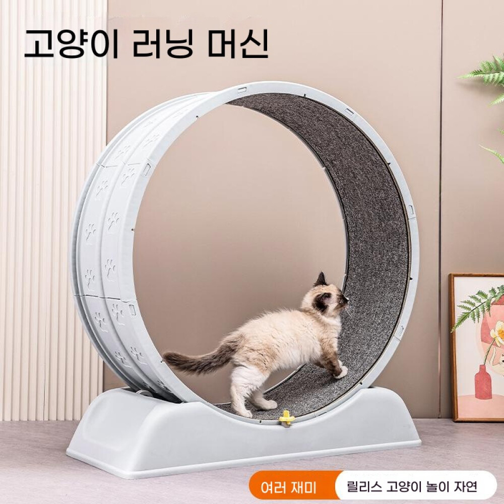 캣휠 무소음 쳇바퀴 운동 런닝머신 캣워커 롤러 운동기구 고양이캣휠 무소음캣휠 놀이기구