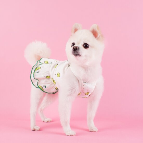 루비디 강아지 체리블라썸 원피스 강아지봄옷/강아지원피스