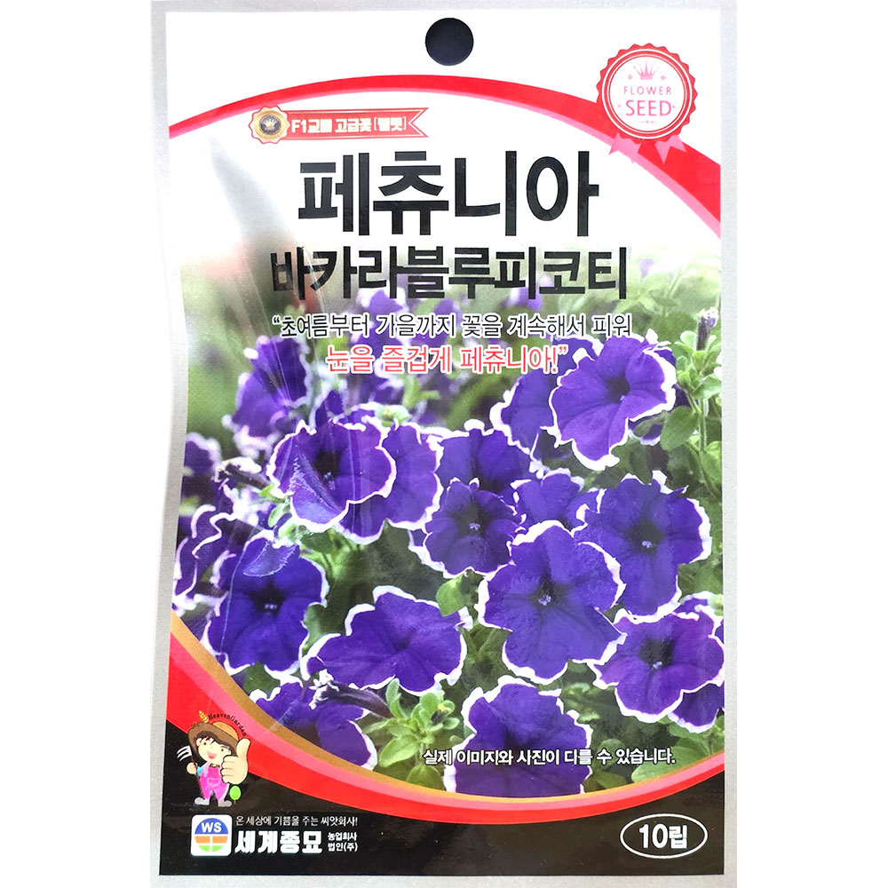 페츄니아 바카라블루피코티 10립 세계꽃씨앗