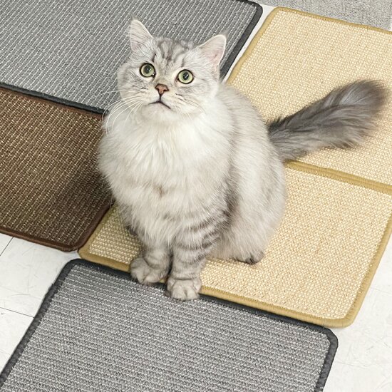고양이 스크래쳐 사이잘삼 카페트 매트 리필 마약 캣닢 30x40