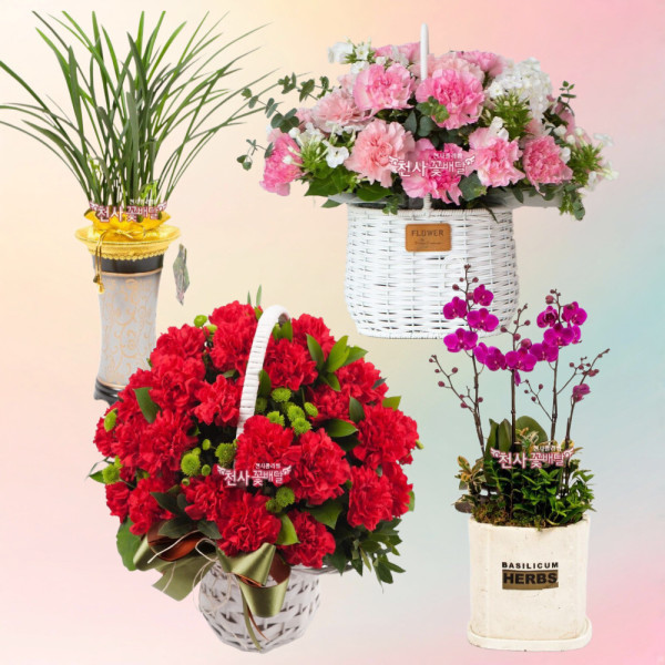 [오늘출발] 성주군 어버이날 카네이션 꽃다발 꽃바구니 꽃주문 천사꽃배달