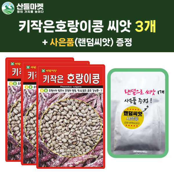 [오늘출발] 산들마켓 키작은 호랑이콩 씨앗 30g 비넝쿨 강낭콩씨 3개+랜덤 씨앗 1개 증정
