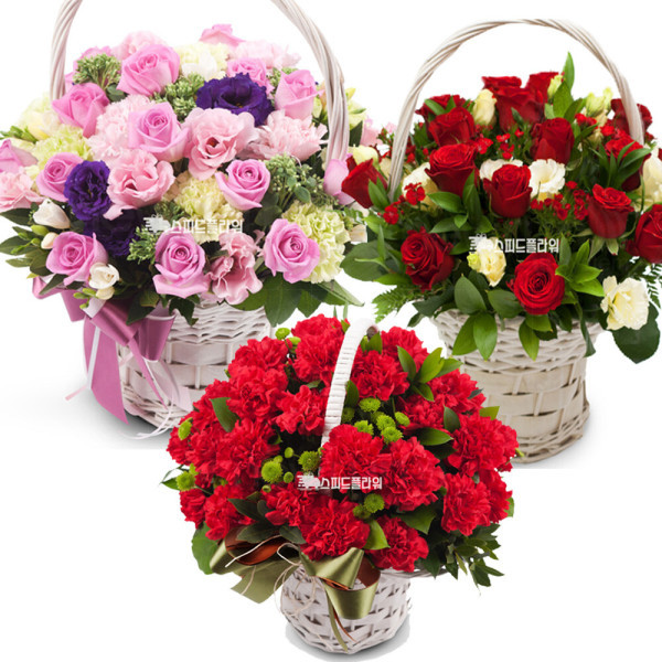 [오늘출발] 성남시 스승의날 카네이션 생화 꽃다발 꽃바구니 꽃배달 꽃주문 꽃배송 스피드플라워