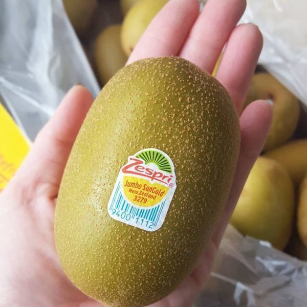 [오늘출발] 제스프리 제스프리 썬 골드키위 점보 제주산 20개 (개당 155g 내외 )