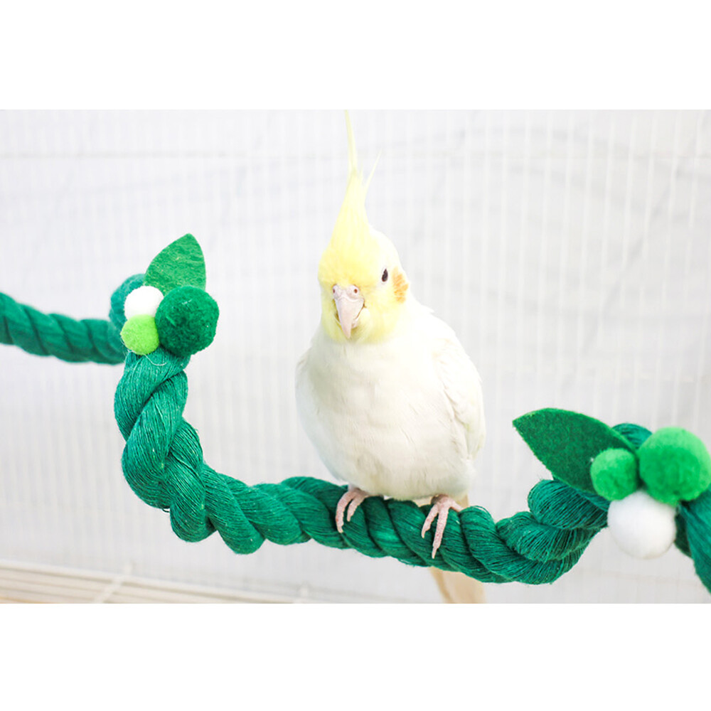 [오늘출발] 잭과 콩나무 면 로프 횃대 그린 콩 장난감 훈련 새용품