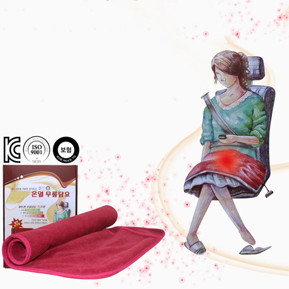 [오늘출발] 히트젠 열선 무릎담요 12V 승용 RV전용 온열담요 무릎담요 자동차담요 열선담요 열선방석