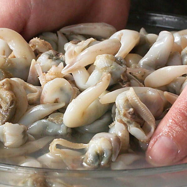 자연산 손질 새조개 tv홈쇼핑 공식판매처 100% 자연산 쫄깃 탱탱 담백 손질 새조개 아이큐샵