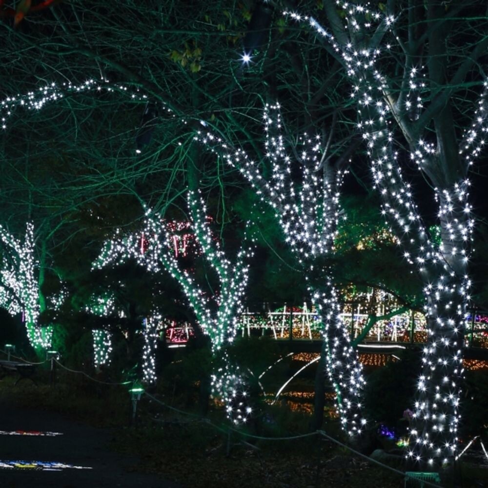(은하수) 50구 녹색선 LED 백색 지니전구(5M) (전원잭포함) (연결가능)/줄조명/볼전구/네온/와이어/방수/크