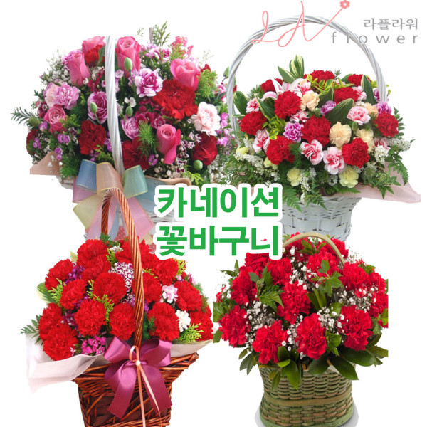 [오늘출발] 여주군 어버이날 카네이션 꽃다발 꽃바구니 꽃주문 라플라워