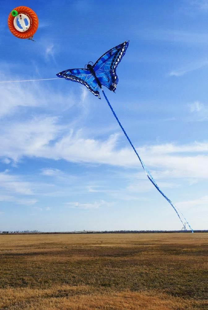 대형 나비 연 민속놀이 엔드 고급 날리기 쉬운 성인을 야외 게임 성인용 위한 성인 무료 빠르고 안전한 배송