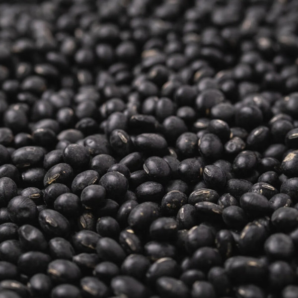 [오늘출발] 국산 서리태   속청 검은콩  (2025년 햇콩)  지퍼팩 소포장  2Kg