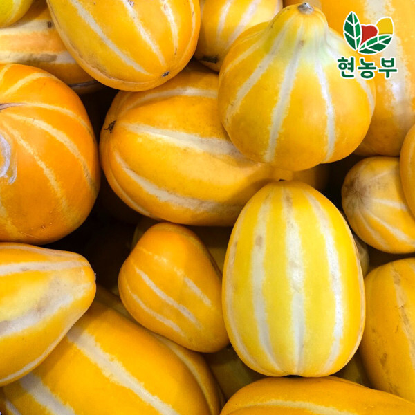 꿀벌 성주참외 가정용 못난이 5kg 랜덤 혼합 많이 달다이~~ 대한민국 최저 가격  단 하루 특가