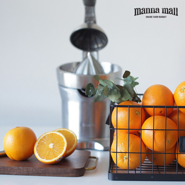 못난이 썬키스트 블랙라벨 고당도 오렌지 1박스