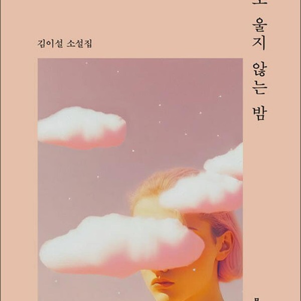 [출판사 문학과지성사]문학과지성사 누구도 울지 않는 밤