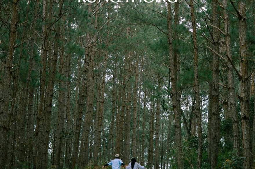 달랏 인 더 포레스트 플로레스트 입장권