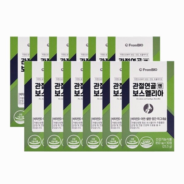 프롬바이오 관절연골 엔 보스웰리아 850mg x 30정 (12개)
