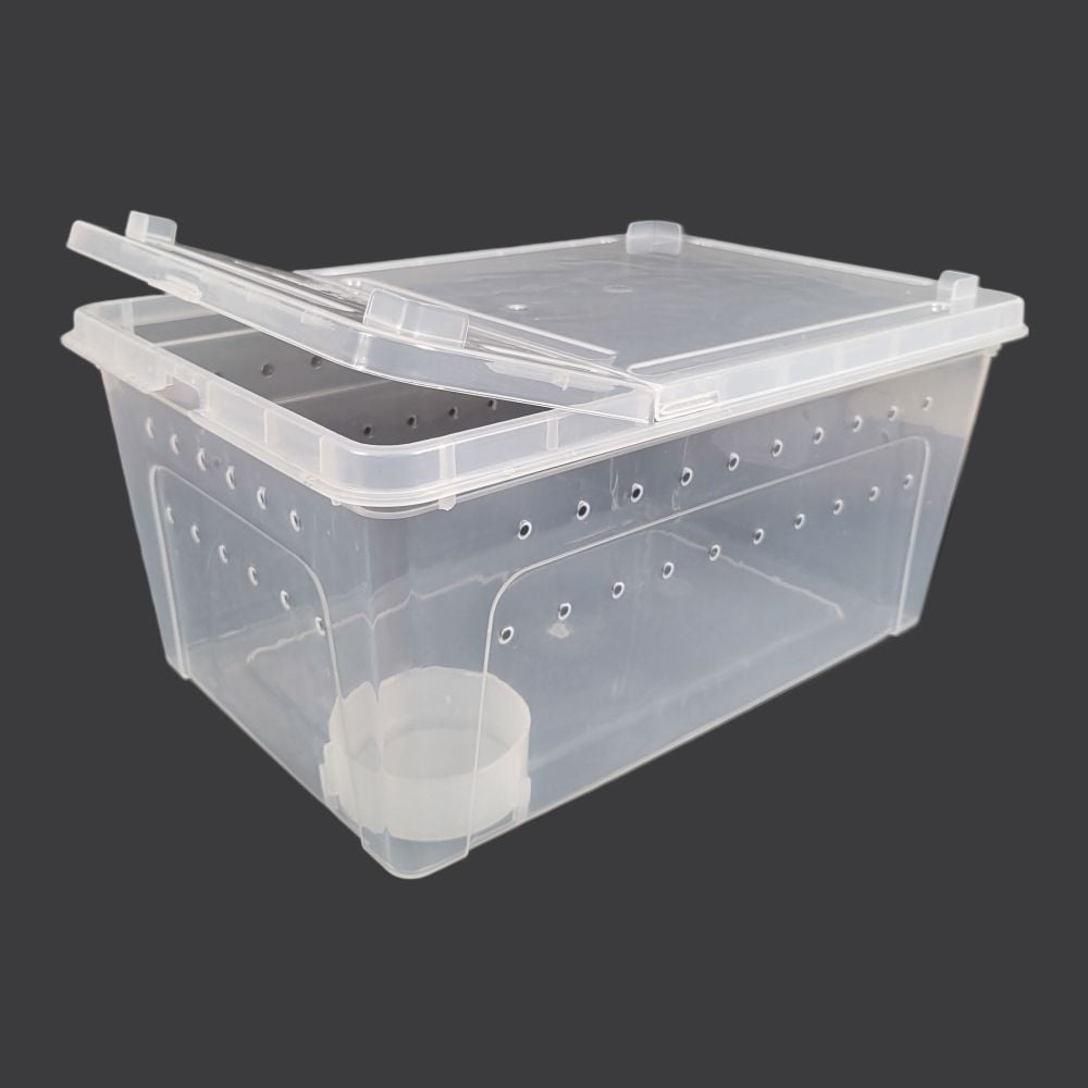 사육장 도마뱀 대형 게코 크레스티드 거북이 레오파드 육지