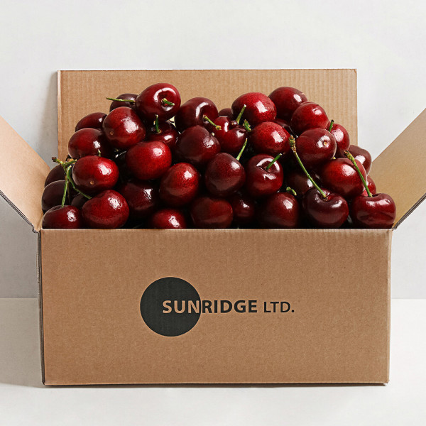 (신선집중) 항공직송 생체리 칠레산 체리 10~10.5R 700g 1kg