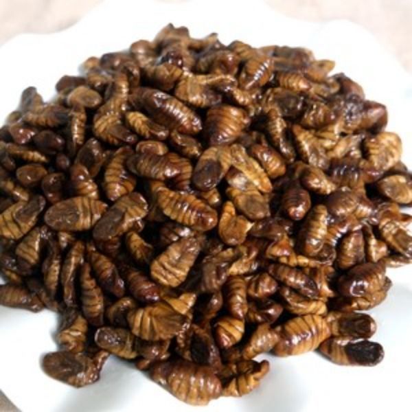 [오늘출발] 냉동 번데기 4kg 무염 무첨가 고단백 대용량 술안주 추억의간식