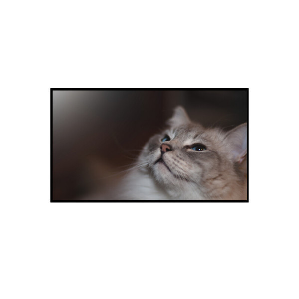 LG전자 LG전자 올레드 evo AI OLED48C5KNA 스탠드형 무료배송 세븐