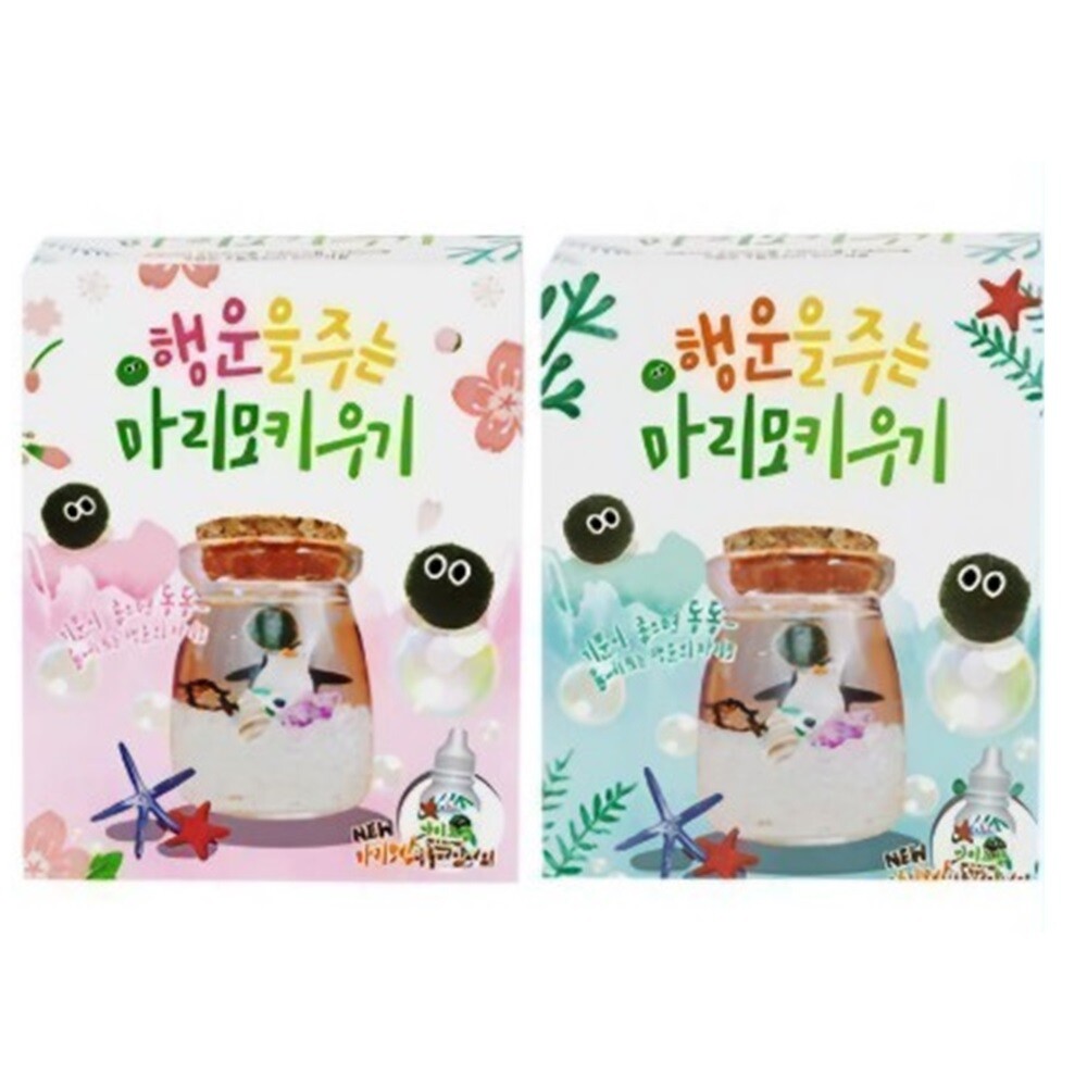 [오늘출발] 10000 행운을 주는 마리모 키우기 카톤 블럭어항 컵 SNS 유행