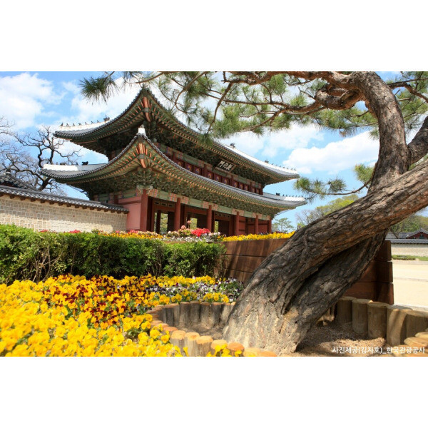 |외국인전용||당일||서울|서울시티투어 코스 B/창덕궁+북촌한옥마을+선정릉+봉은사+서울스카이