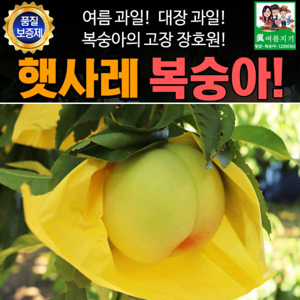 복숭아 명인의 장호원 햇사레 황도 복숭아 특과 3kg 6-10과