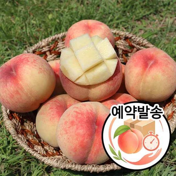 햇사레 장호원 이종태 명인 백도복숭아 3kg 중과