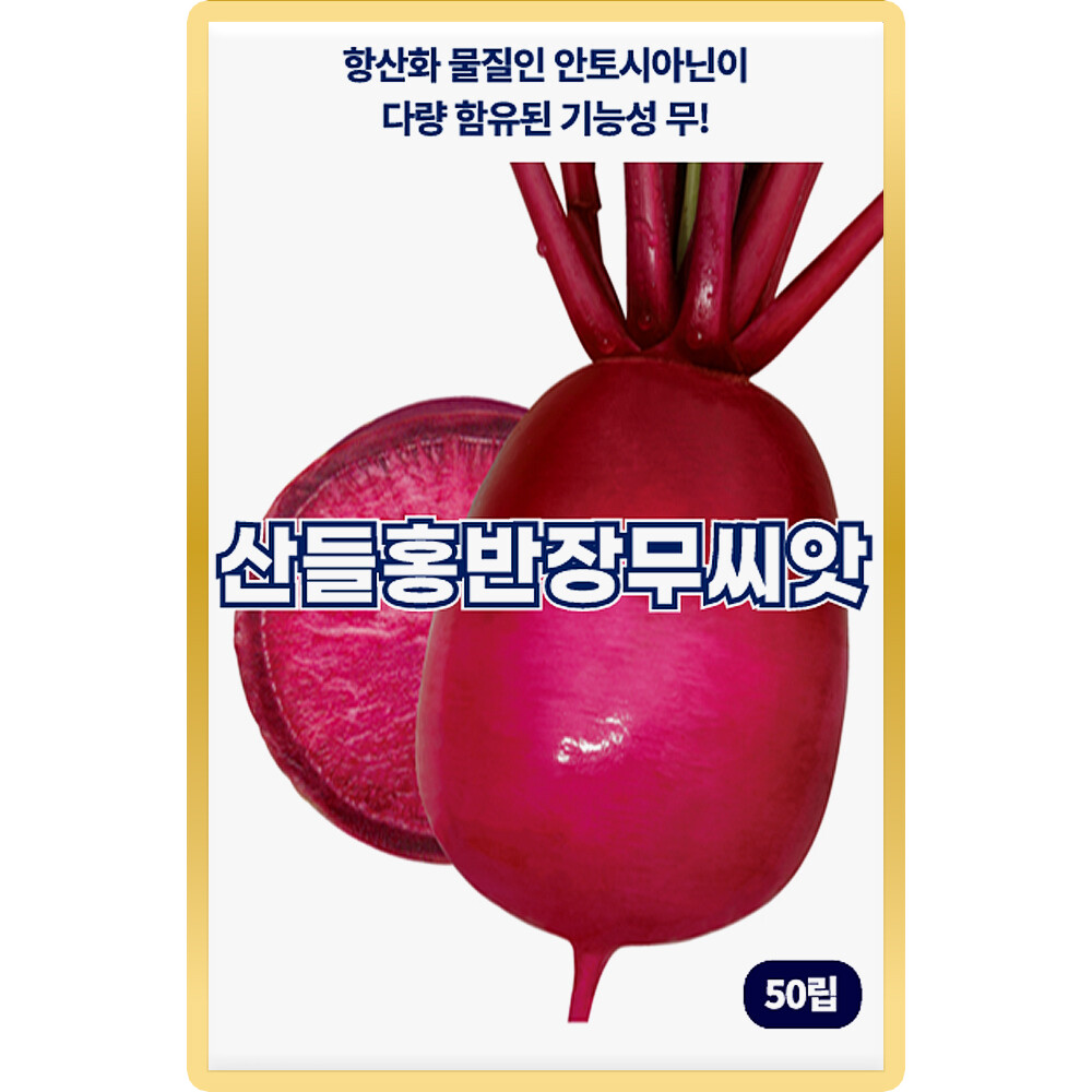 [오늘출발]산들 홍반장 무씨앗 50립 항산화 물질 안토시아닌 다량 함유 소량 적색무씨 종자