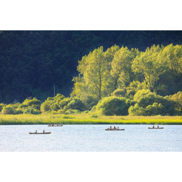 |외국인전용||당일||춘천|남이섬투어 코스 B/남이섬+카누체험+아침고요수목원