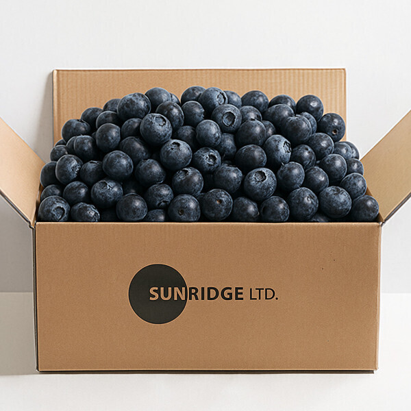 (신선집중) 직수입 생블루베리 125g 5팩 (4+1) 특가