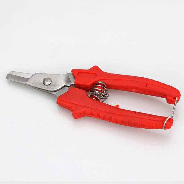 [오늘출발] 정제절단기 15cm 1개 약가위 알약자르는도구 약컷팅기 정제가위 약국용 가정용