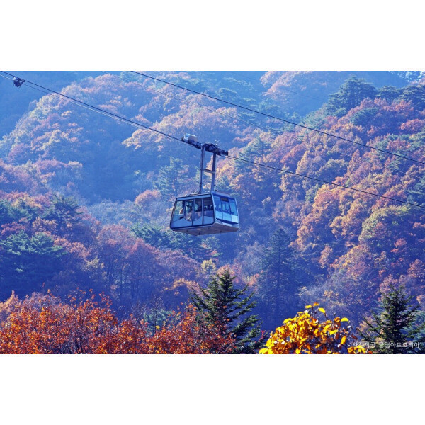 |외국인전용||당일||속초|설악산국립공원 코스 A/설악케이블카+권금성+신흥사+속초해변+수산시장 외