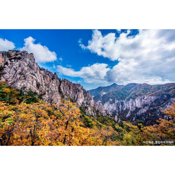 |외국인전용||당일||속초|설악산국립공원 코스 B/설악케이블카+권금성+신흥사+고성통일전망대+산채정식