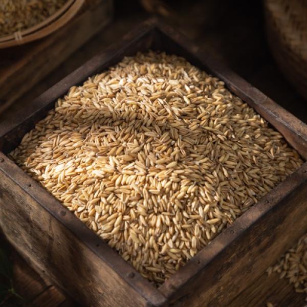 2025 햇 진도 쌀귀리 1kg6팩