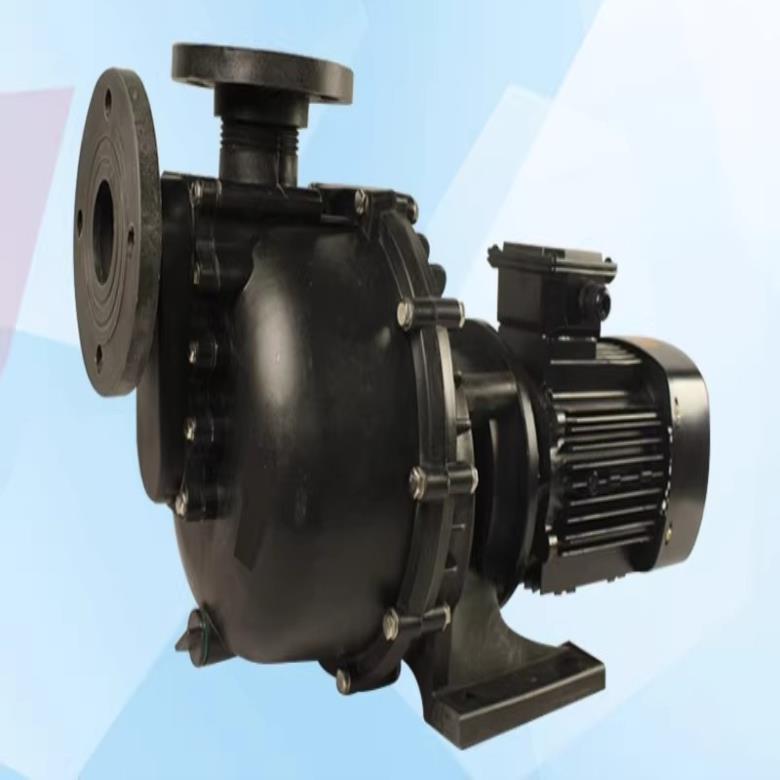 정시출고 품질보증 무료배송 말배꼽 펌프 플라스틱 화학 대형 헤드 슬롯 외부 수평 산 및 알칼리 자체 프라