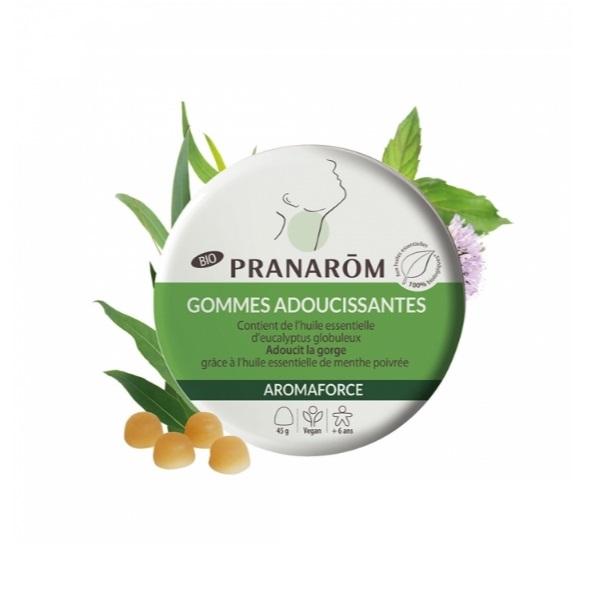 PRANAROM 프라나롬 아로마포스 유칼립투스 민트 구미 45g 4개