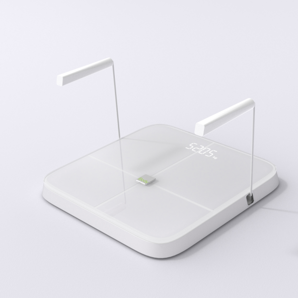 [오늘출발]바디피디아 스마트 디지털 체중계 가정용 체지방 체성분 측정 공식수입유통  총판